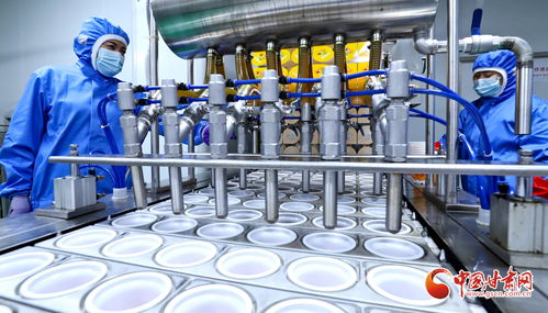 臨澤 科技賦能 小特產 升級 大產業